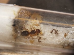 DSCF7522.JPG