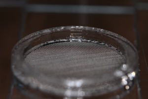 IMG_0051.JPG