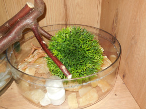 DSCN5659.JPG