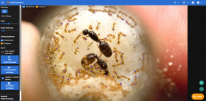 antcounter_2026-02-22_screenshot.png